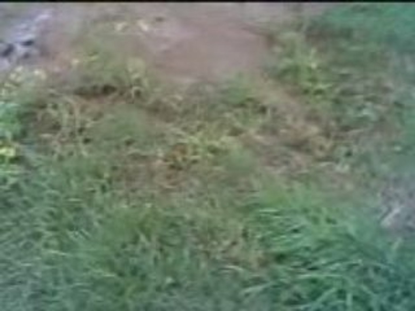 ⁣Розслідування зйомок кліпу Shiver