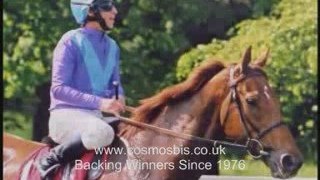 free horse racing betting systems 3