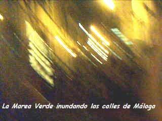 La Marea Verde inundando Málaga