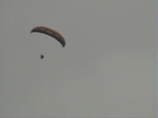 Stage Gypaetes siv 2009 acte1