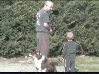 Diva entrainement obeissance 2