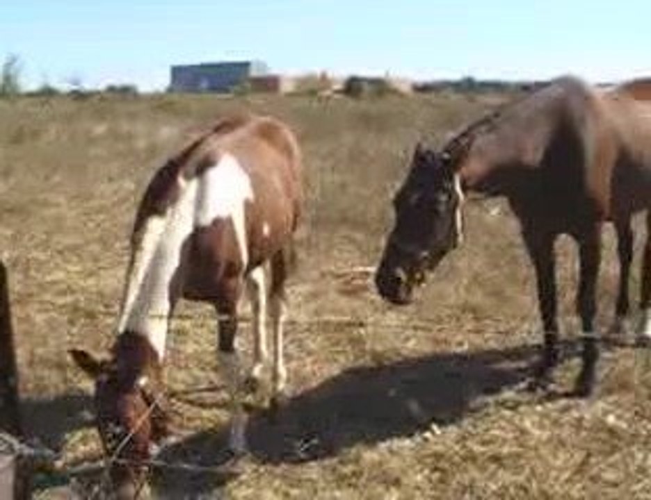 hummm c'est bon les crouttes de pains lol