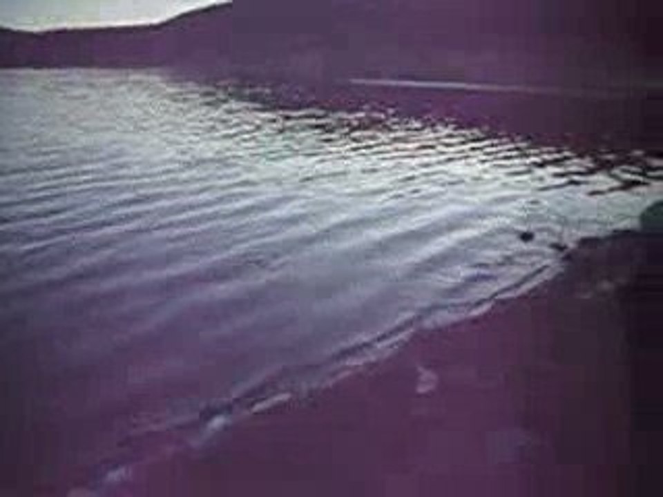 IMG_0105