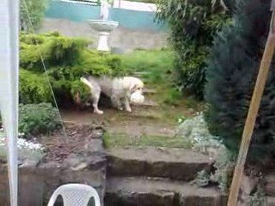 spectre vers 1 min 39 a peu pré laisser plein de coms