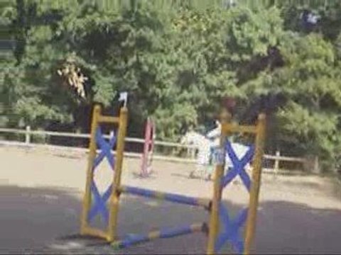 04-10-09 St Georges du Bois concours de saut d'obstacle