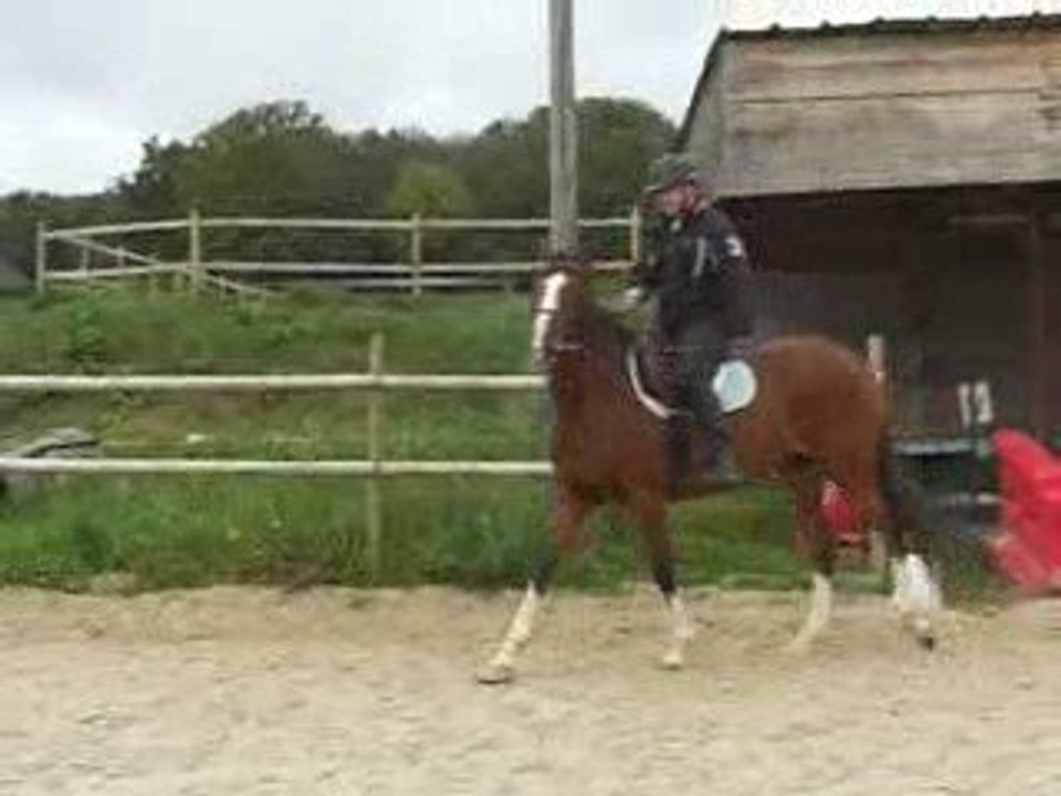 CIMG2671