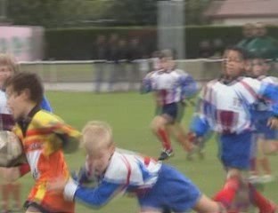 MMXV - 2009-10-10 Jeunes pousses et poussins