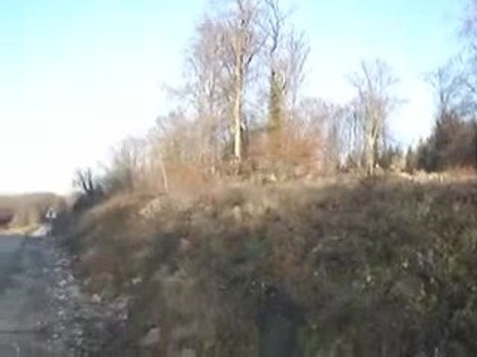 Exercice de camouflage...sur la route