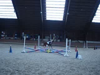 Manon Concour equifun Bondue