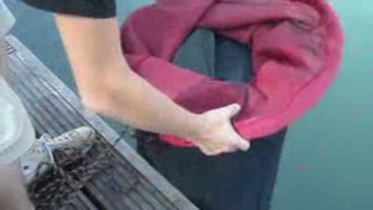 les bourriches du FUK saisons 2008 2009