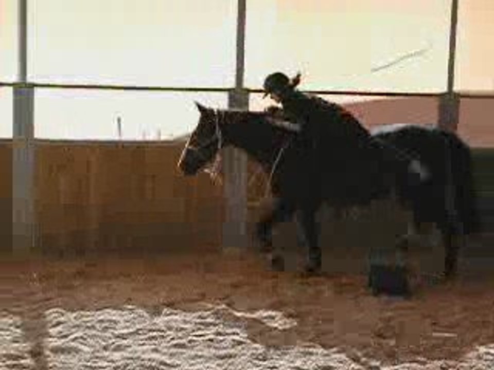 Premiers essais à terre à cheval