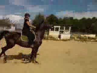 Vidéo0030