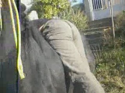 Mon Gros trop brave mdr