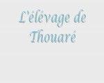 Elevage de thouaré