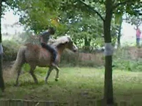 saut en liberté avec mon kenzo <3