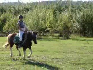 Cross ac Albi ( Ecurie D'ines ) Après la chute