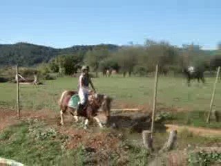 Cross ac Albi ( Ecurie D'ines ) Sorti du gai