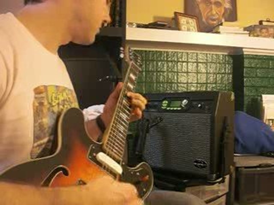 Univox Custom Hollowbody Guitar