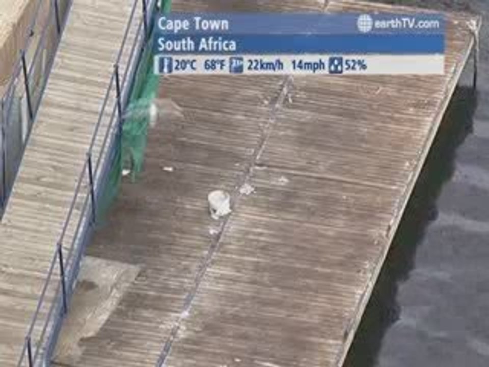 Arcachon - France, Kyiv - Ukraine, Lugano - Ticino - Switzerland, Cape Town - South Africa, Pretoria - South Africa, Honolulu - USA, Hamburg - Germany