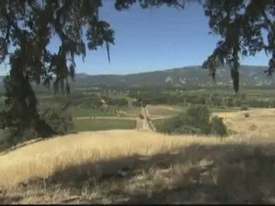Colorado Springs Medical Marijuana Dispensary