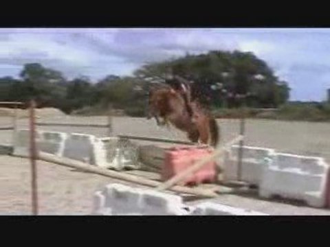 Ecurie du Nevez Qibondi