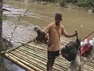 Thaïlande - Carnet de Voyage (Partie 2)