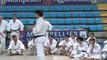 Patrick Roux Tachi waza