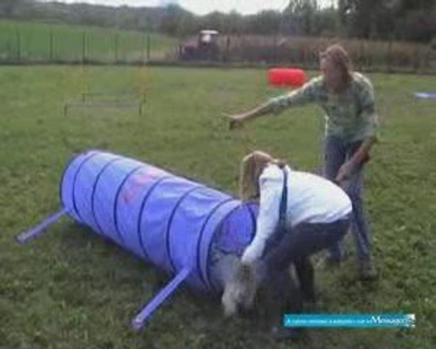 SPA du Chablais-Parrainage pour une nouvelle vie