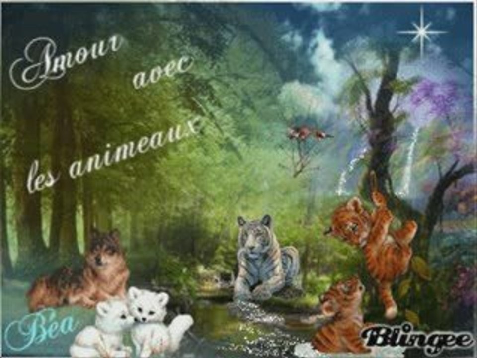 amitié virtuelle
