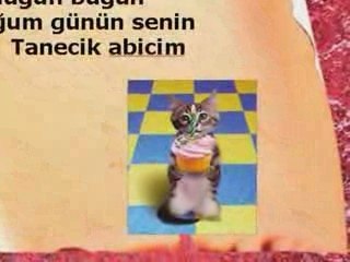 Doğum Günün Kutlu olsun tarkan abi