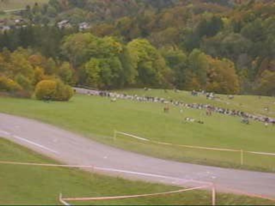 Rallye des Bauges 2009 : 106 verte - Piscitelli & Mansat