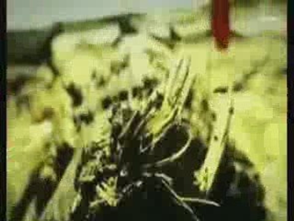 Babutsa - Yanayim Club Mix