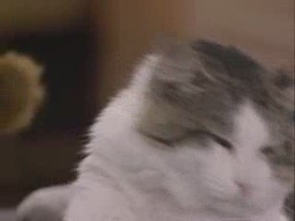 Alf  : Tu es une madeleine