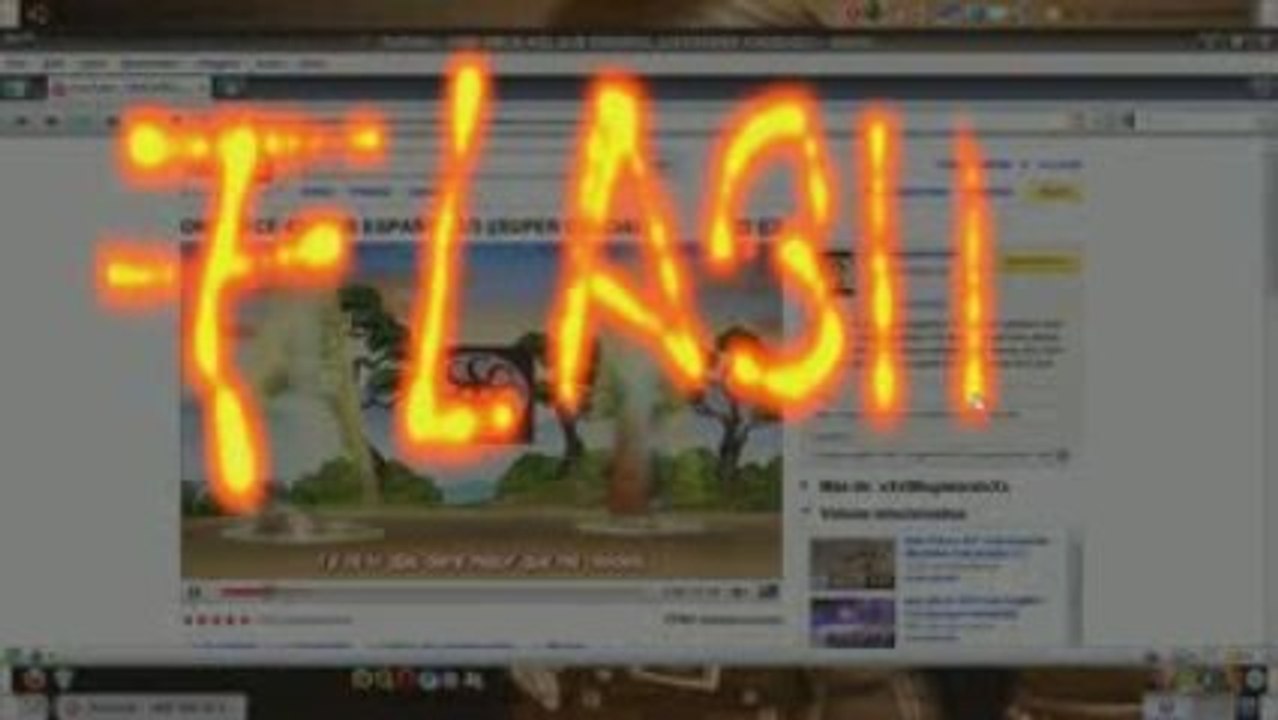 prueba Compiz flash java