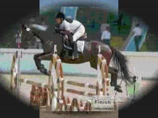 montage chevaux