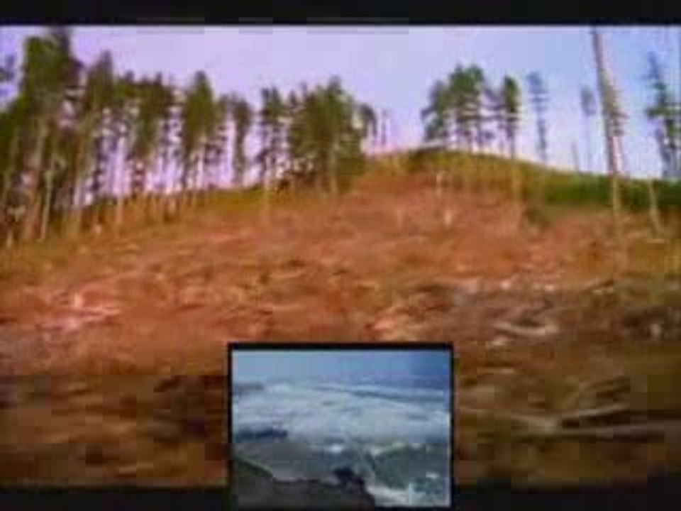 J'accepte - une vidéo de vérité.