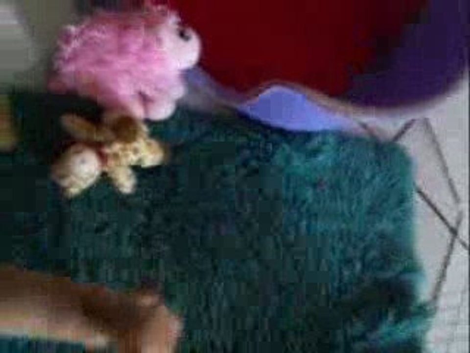 chiots  vidéo Endy et Enzo 11 Octobre 2009 005