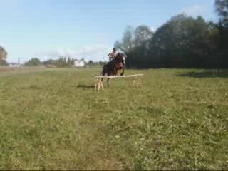 saut avec Palma