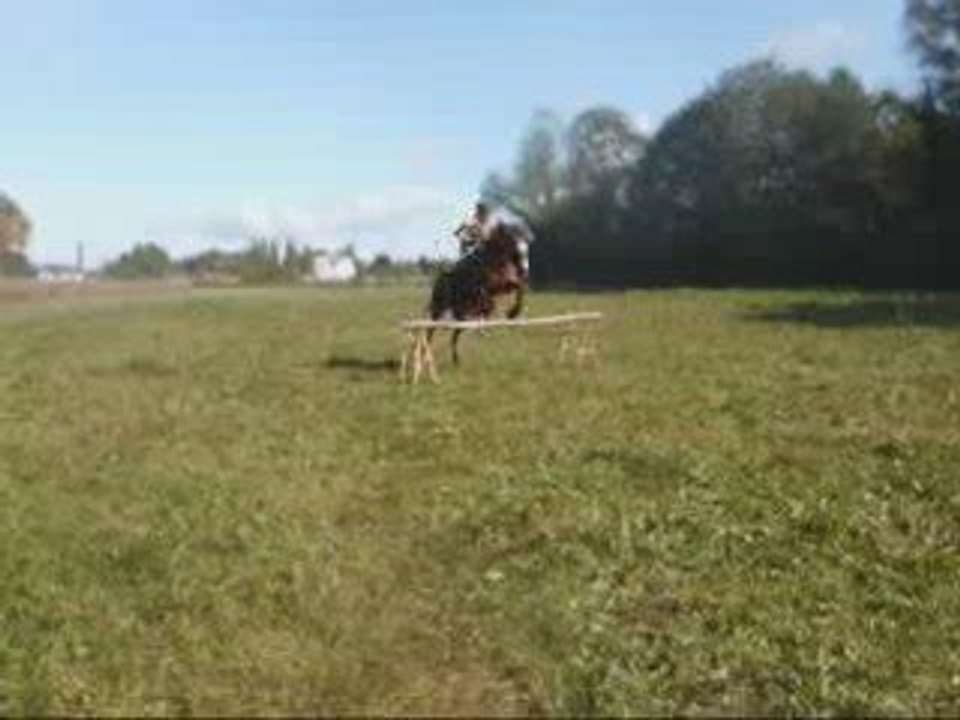 saut avec Palma