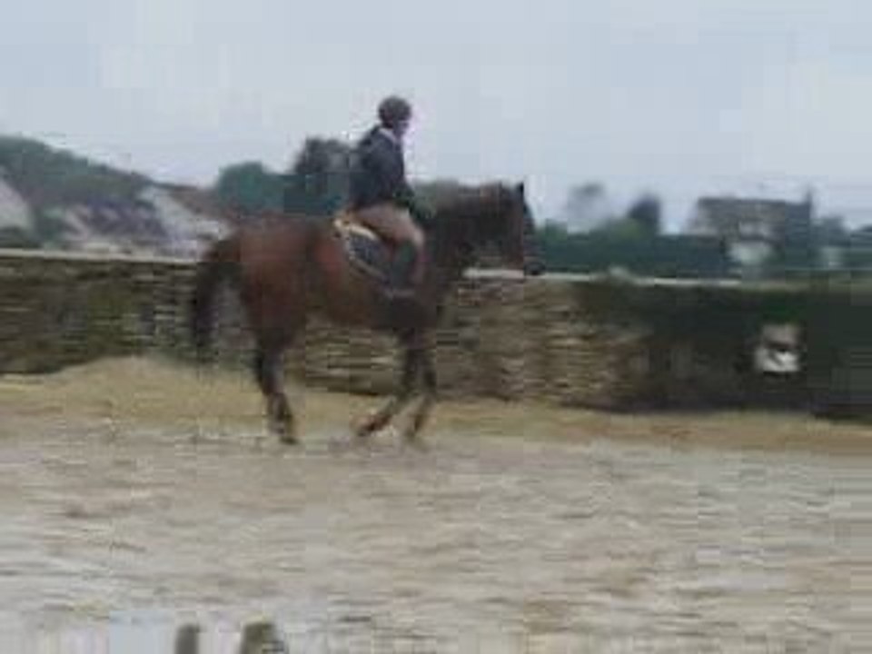 Cours viriginie samedi 10/10/09