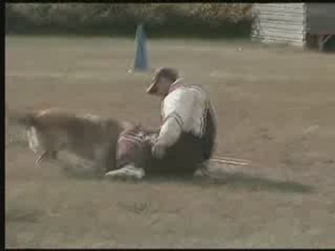 CYRIUS DU MUSHER en échelon 2