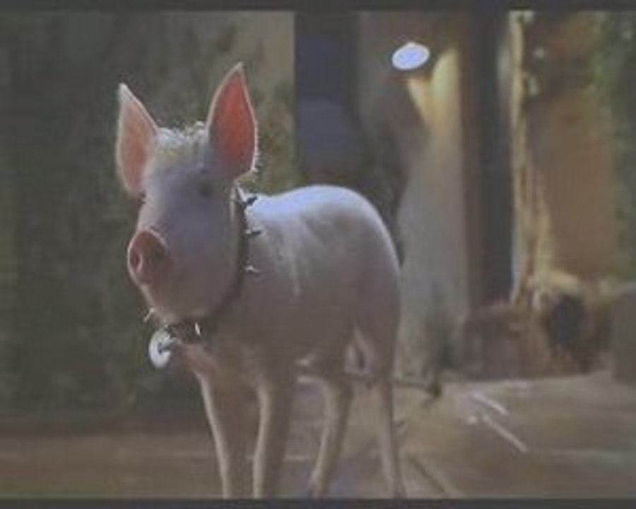 Babe, Le Cochon dans La Ville