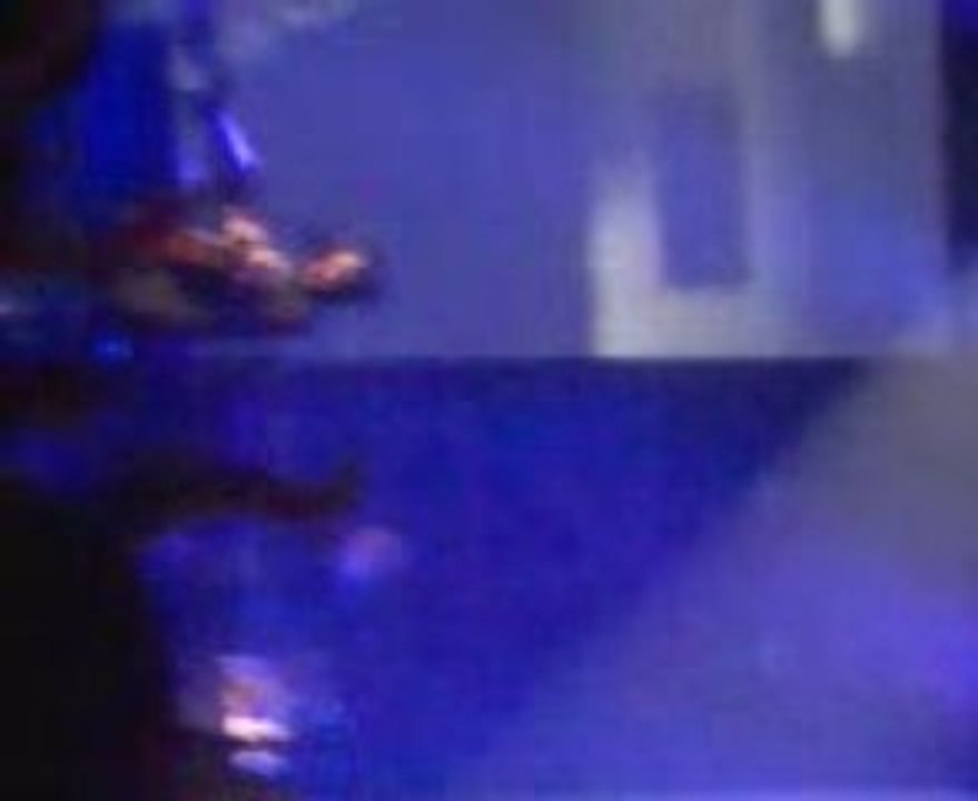 Indochine 2009 concert