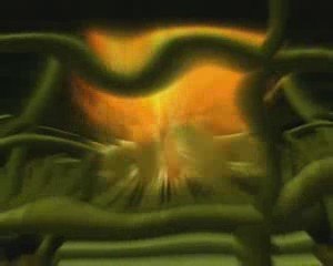 RCT3// Saw Evolution (première partie)