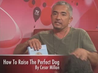 Cesar Millan Talks Dogs Season 6