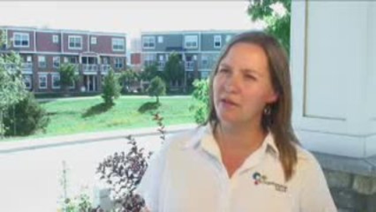 Solar Panel Installation: Is it Really That Hard?