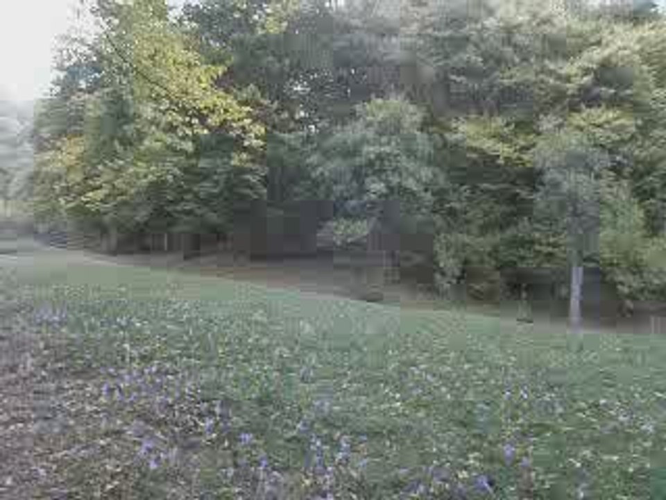 Mormantul lui Arsenie Boca - Prislop