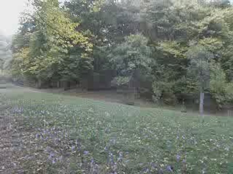 Mormantul lui Arsenie Boca - Prislop