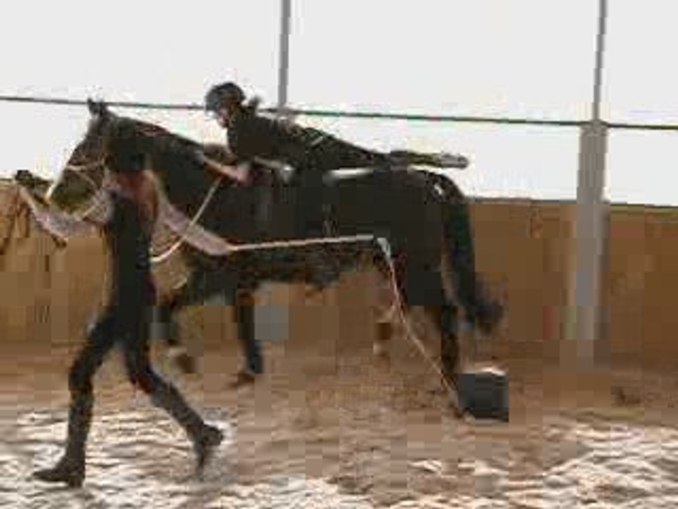 A terre à cheval premiers essais