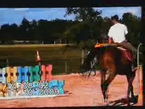 dimanche 12 octobre 2009 CSO 004